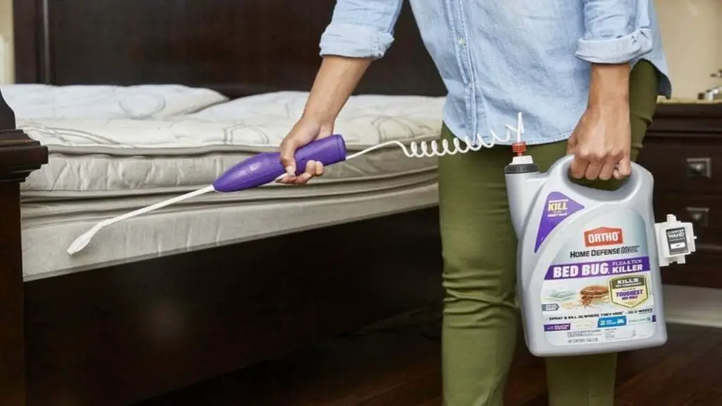 Use An Anti-Bed Bug Spray In Hotel Rooms