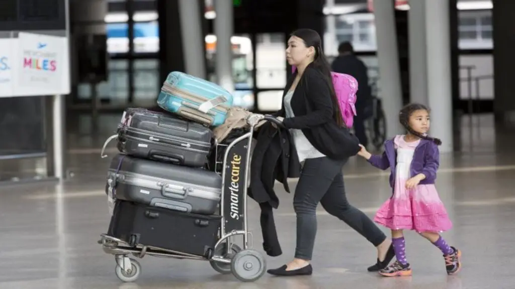 Are Luggage Carts Allowed On Airplanes- Explore The Rules