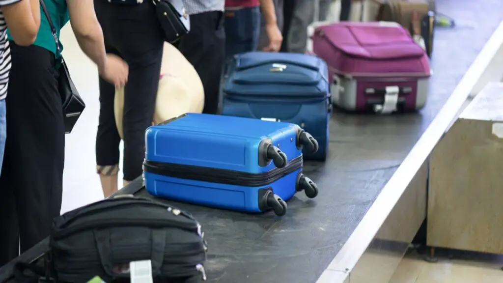 Do You Get Luggage Before Customs Explained Rules And Regulation