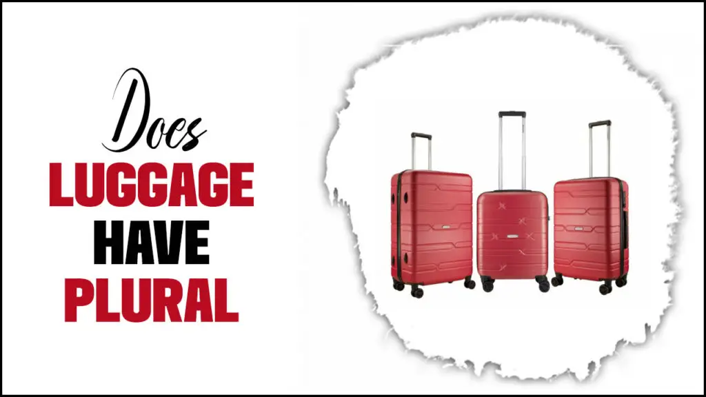 Does Luggage Have Plural
