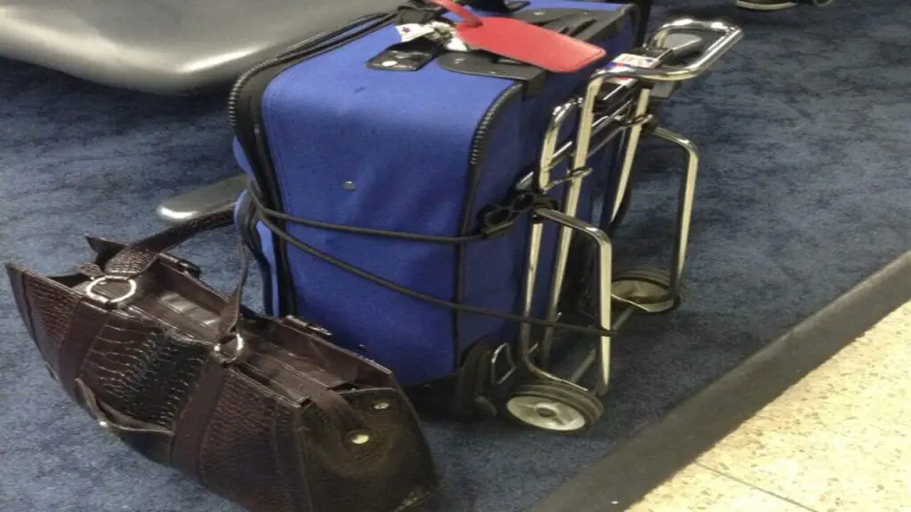 The TSA's Stance On Luggage Carts