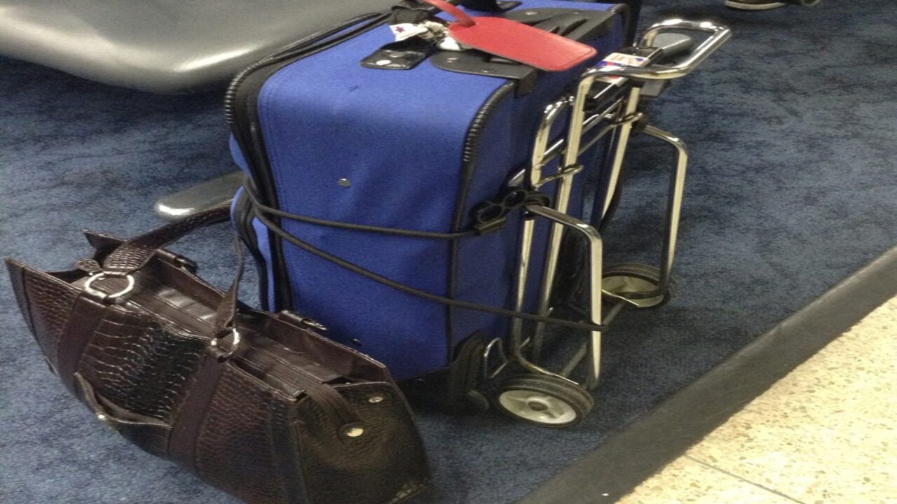 Are Luggage Carts Allowed On Airplanes What's Permitted