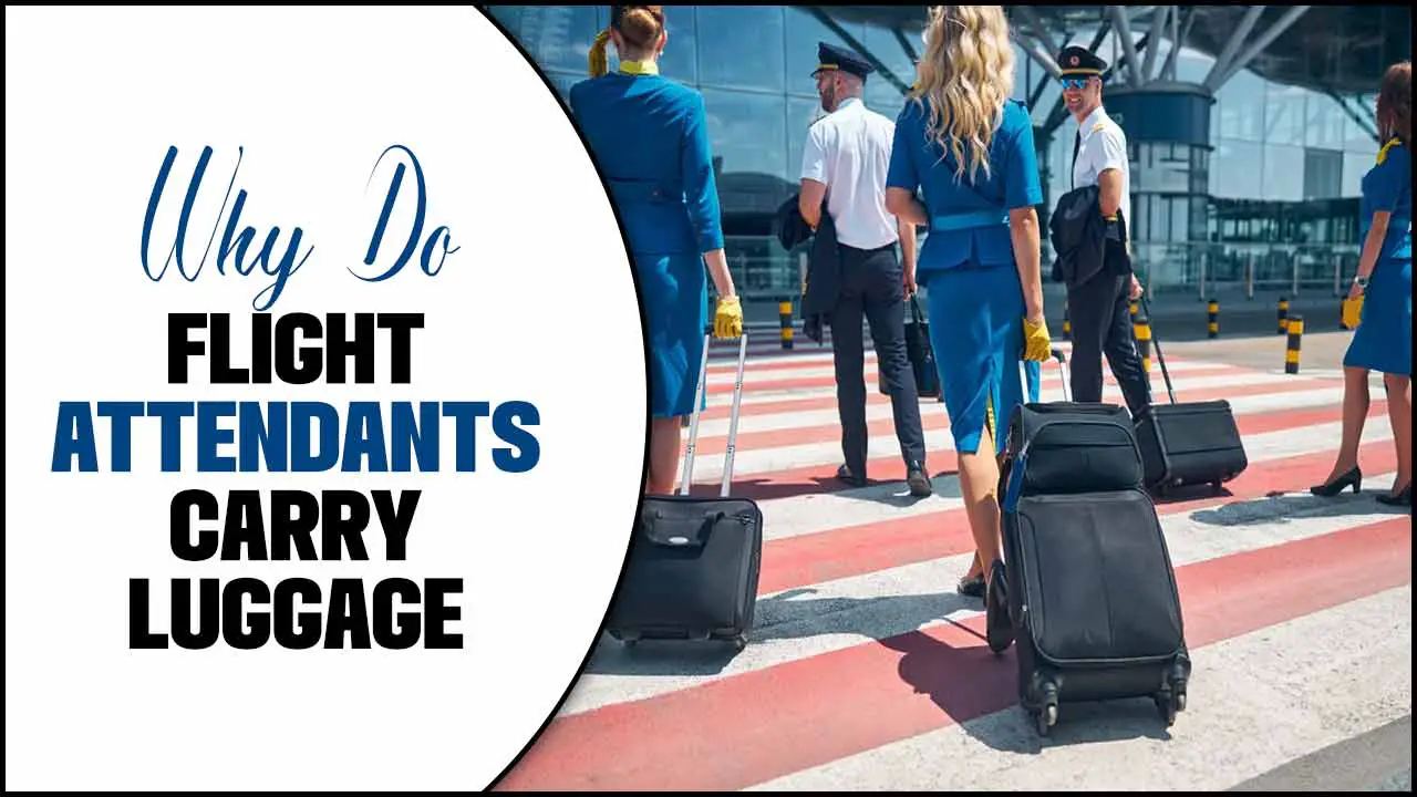 Why Do Flight Attendants Carry Luggage