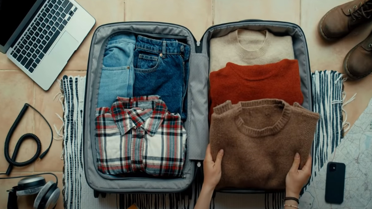 Can Fleas Travel In Luggage Uncover The Surprising Truth