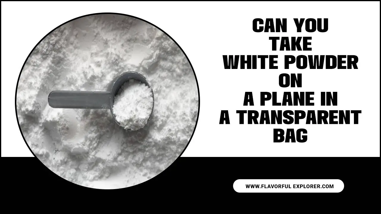 Can You Take White Powder On A Plane In A Transparent Bag