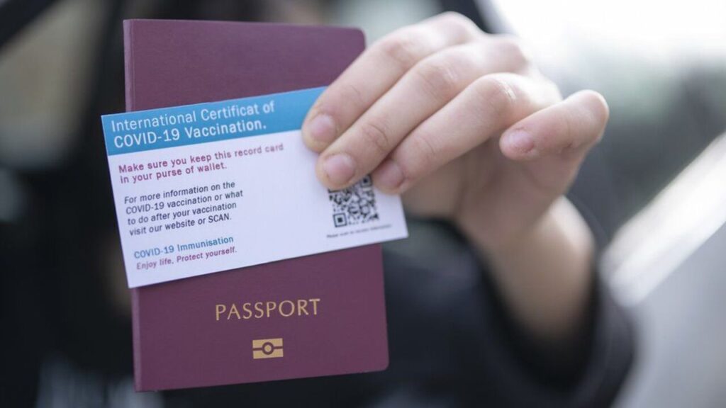 Fill Out Your Passport With Dummy Information