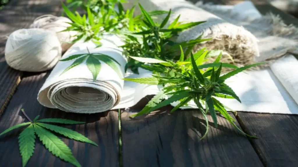 Hemp Can Be Highly Absorbent And Durable