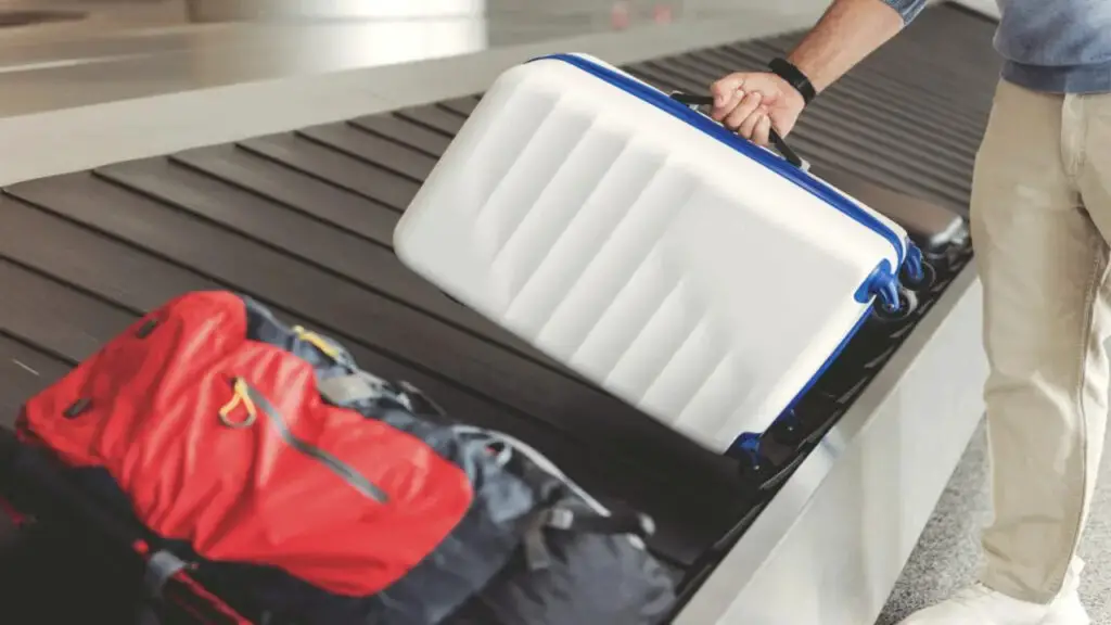 Pros And Cons Between Polypropylene And Polycarbonate Luggage