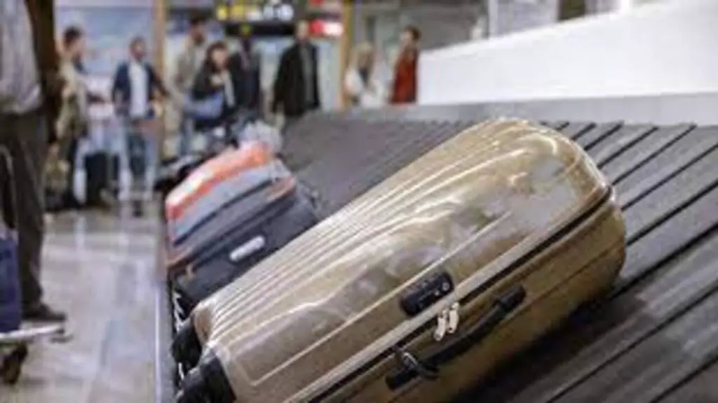 The Role Of Interline Agreements In Luggage Transfer