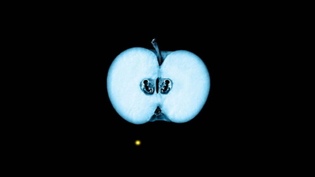 What Happens When Food Goes Through The X-Ray Machine?