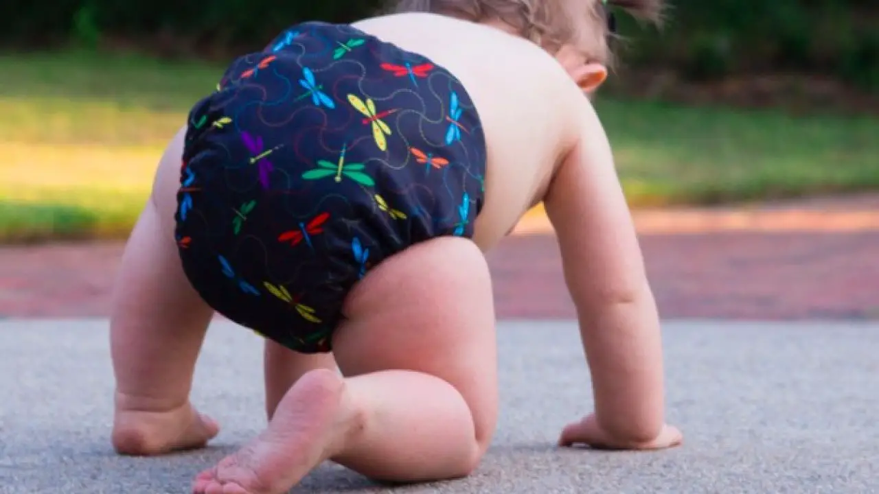 Disadvantages Of Cloth Diapers