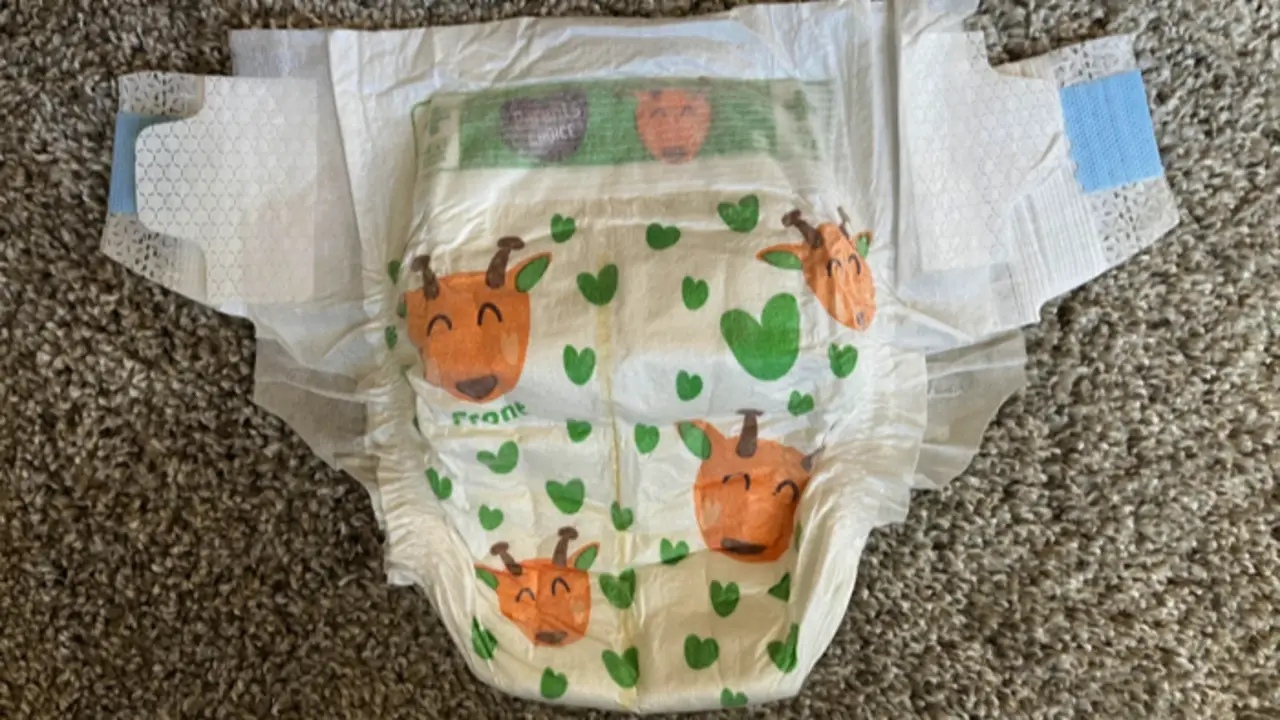 Review The Diaper Brand
