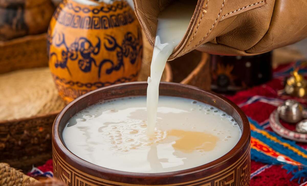 Airag (Fermented Mare’s Milk)