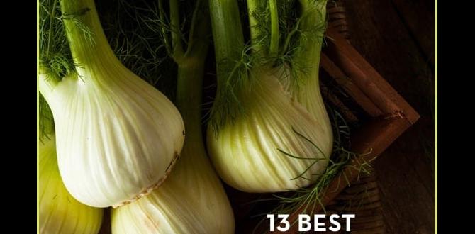 Best foods for digestion Best foods for digestion