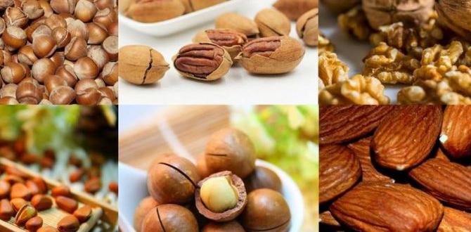 Best nuts for keto diet Best nuts for keto diet