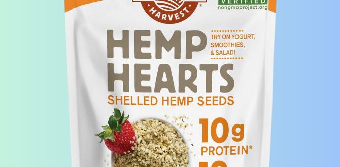 Plant based protein snacks Plant based protein snacks