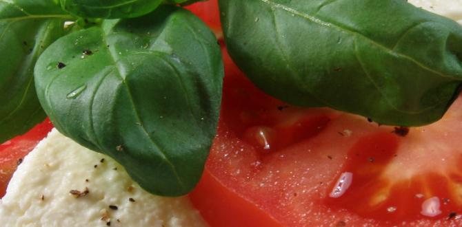 Best low calorie foods for lunch Best low calorie foods for lunch