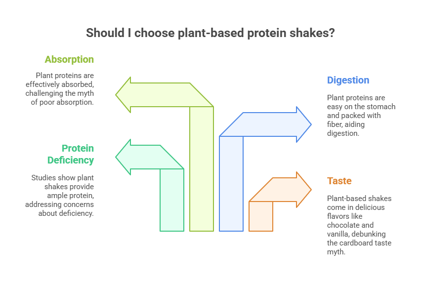 Common Misconceptions About Plant-Based Protein Shakes