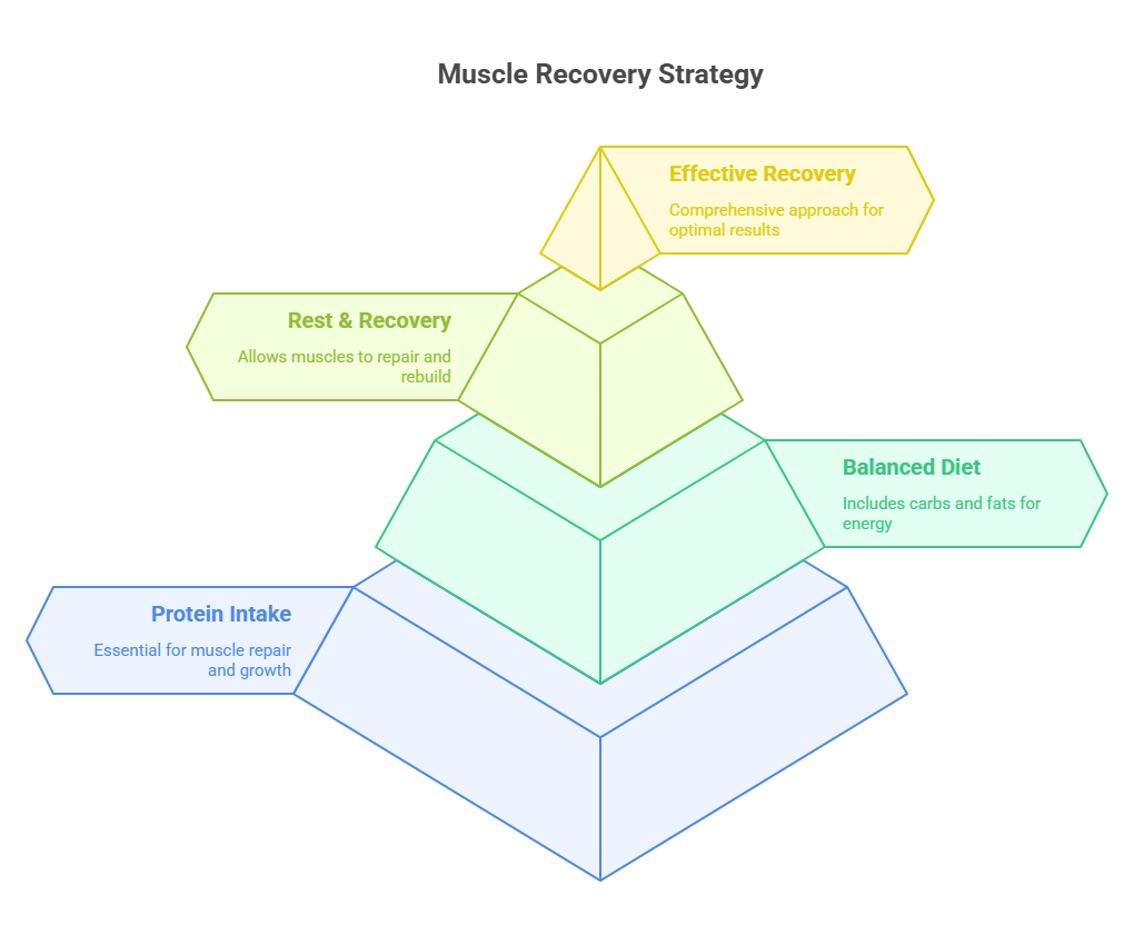 Common Myths About Protein and Muscle Recovery
