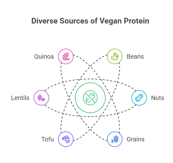 Common Myths About Protein in Vegan Diets