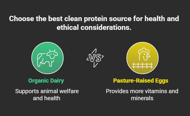 Dairy and Egg Clean Protein Sources