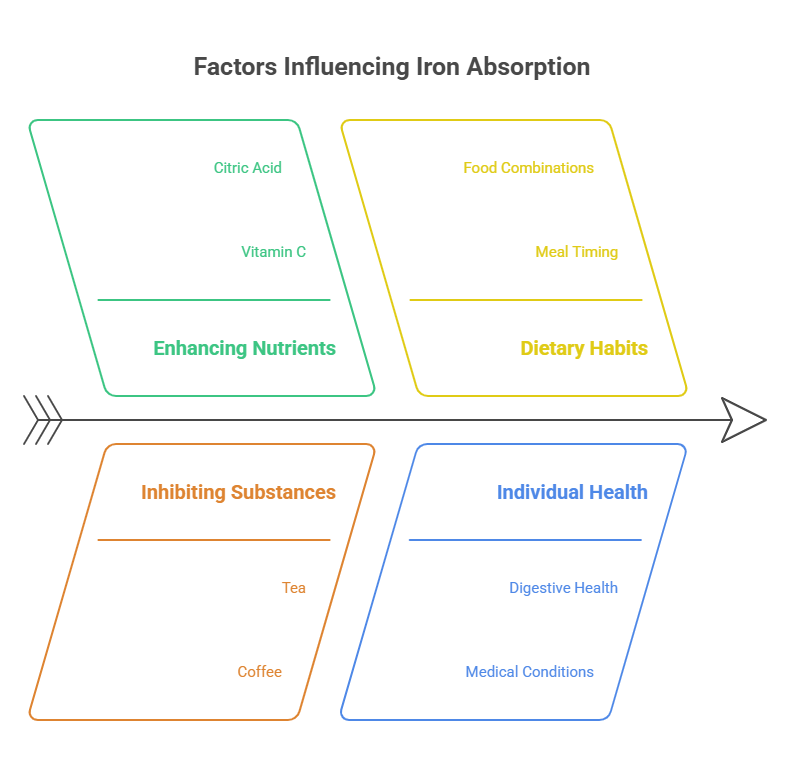 Factors Influencing Iron Absorption
