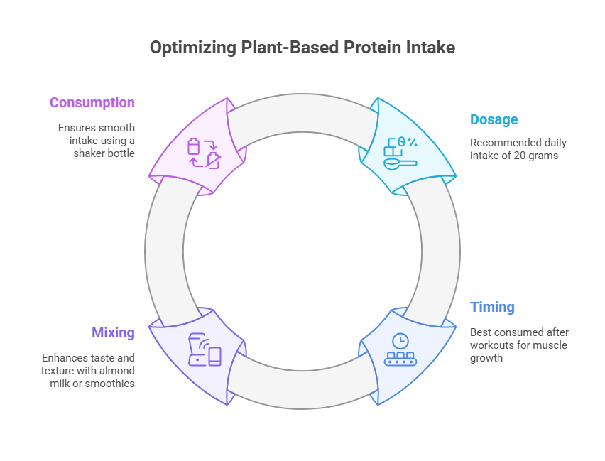 How to Effectively Use Plant-Based Protein Supplements