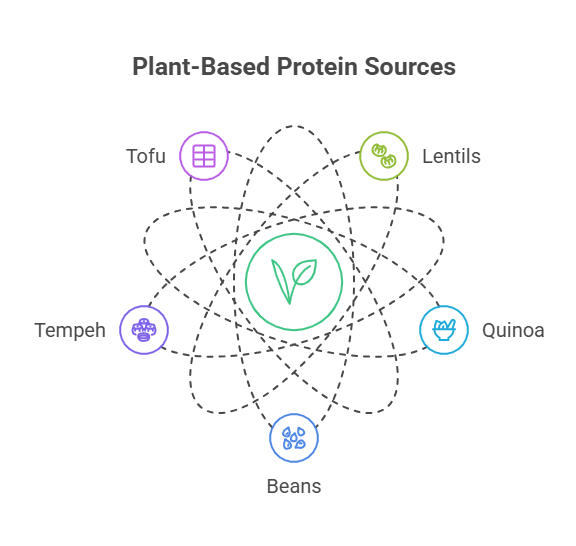 Special Considerations for Vegetarians and Vegans