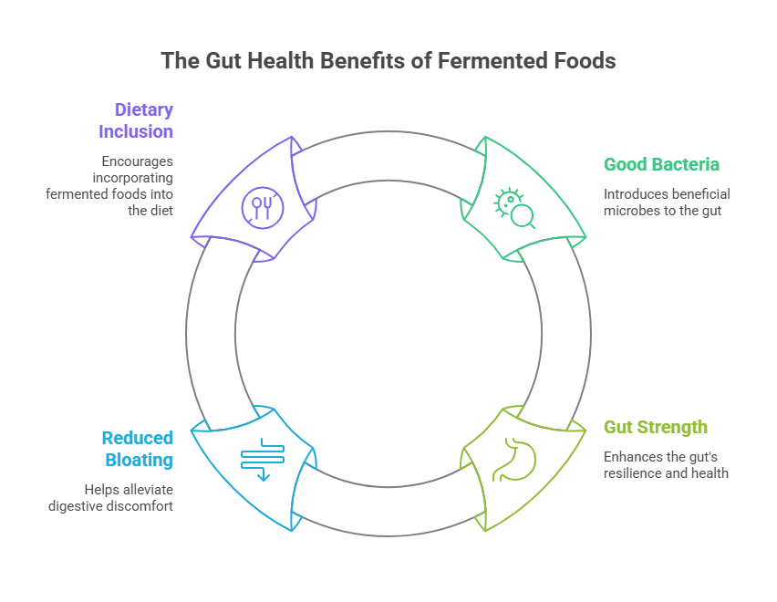 The Benefits of Fermented Foods for Gut Health
