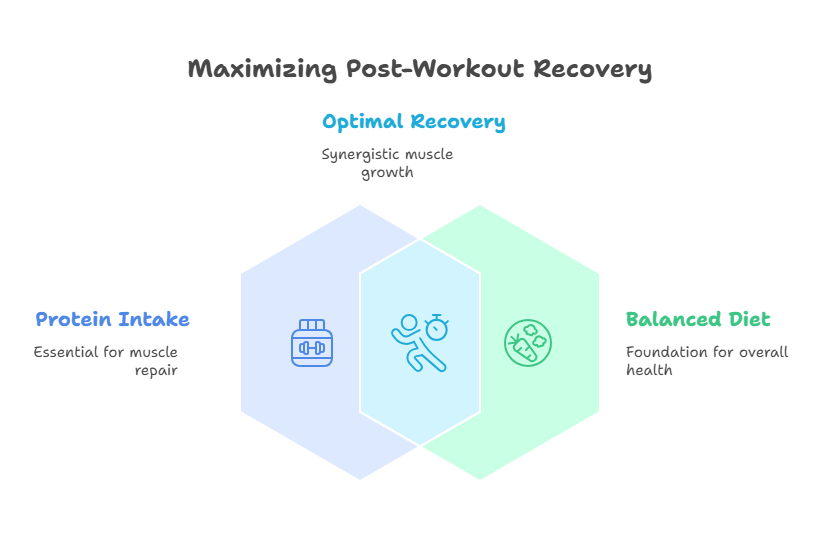 What is the ideal protein intake post-workout