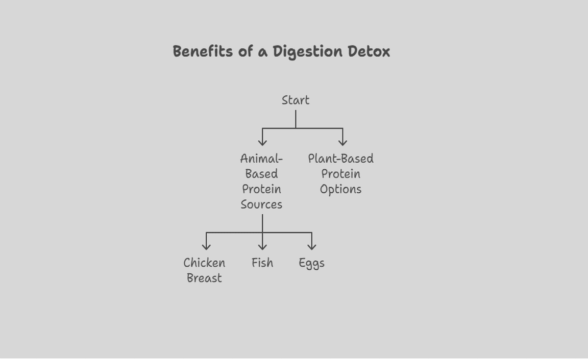 Benefits of a Digestion Detox