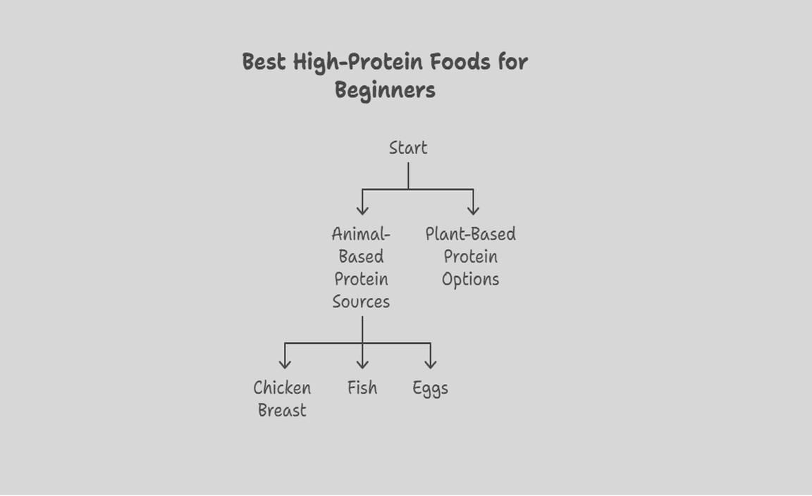 Best High-Protein Foods for Beginners