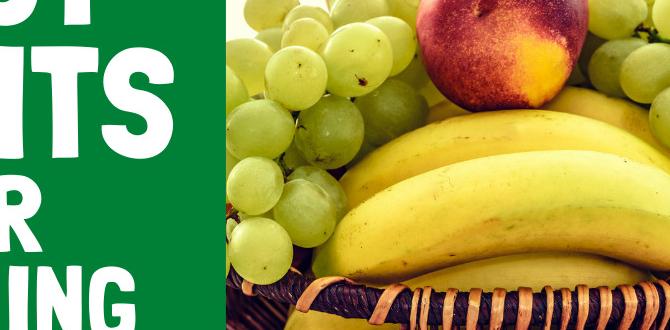 Best snacks for increasing endurance Best snacks for increasing endurance