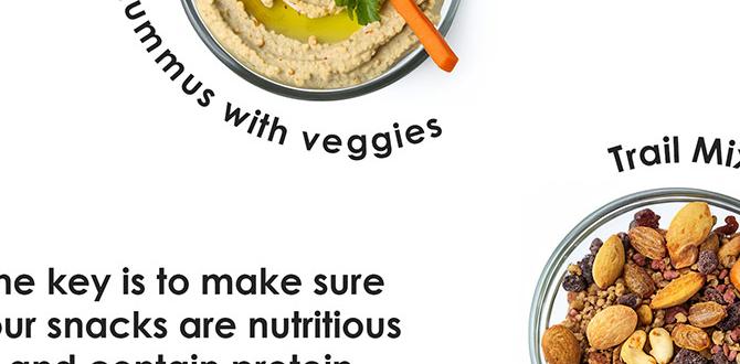 Clean eating snacks for better digestion Clean eating snacks for better digestion