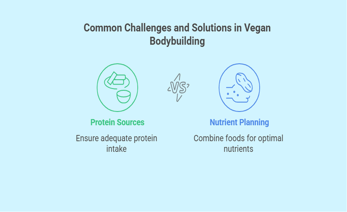 Common Challenges and Solutions in Vegan Bodybuilding