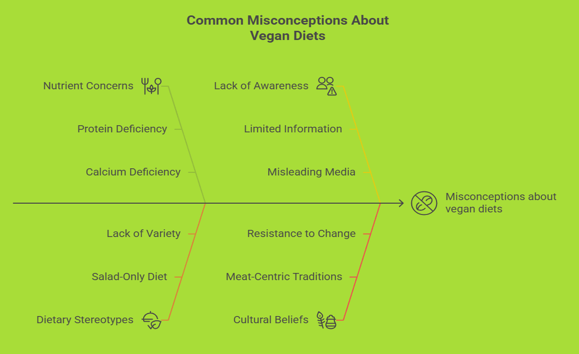 Common Misconceptions About Vegan Diets