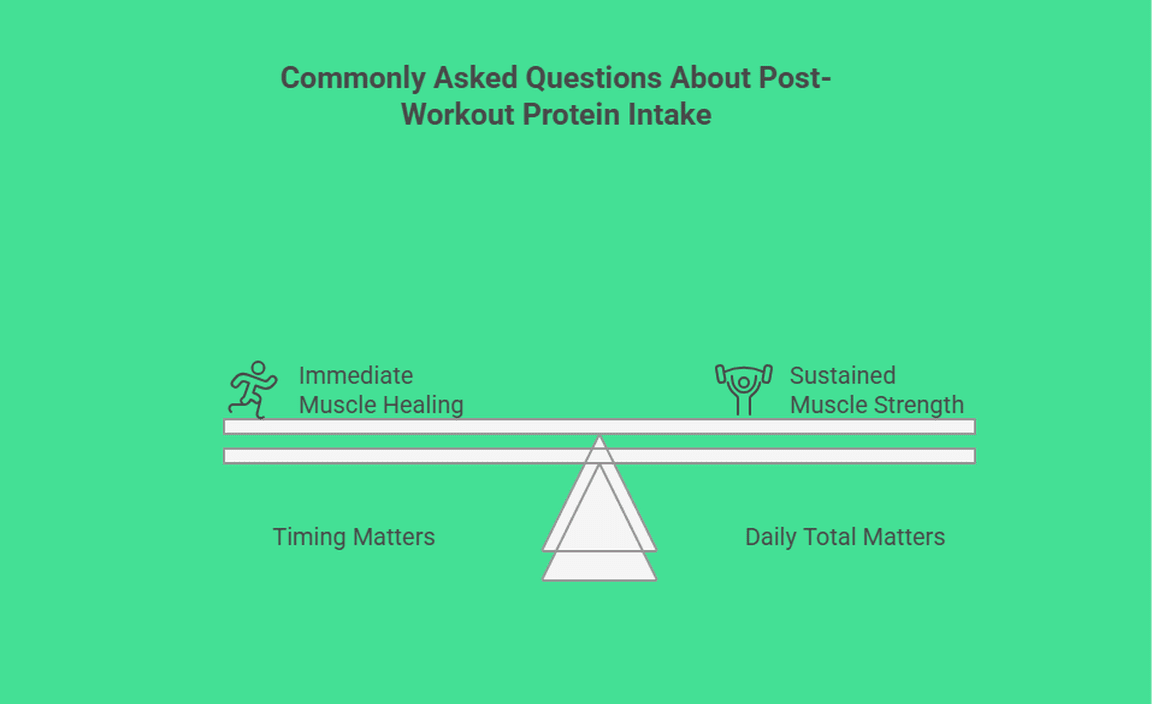 Commonly Asked Questions About Post-Workout Protein Intake
