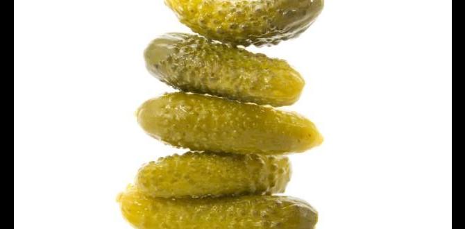 Digestion snacks Digestion snacks
