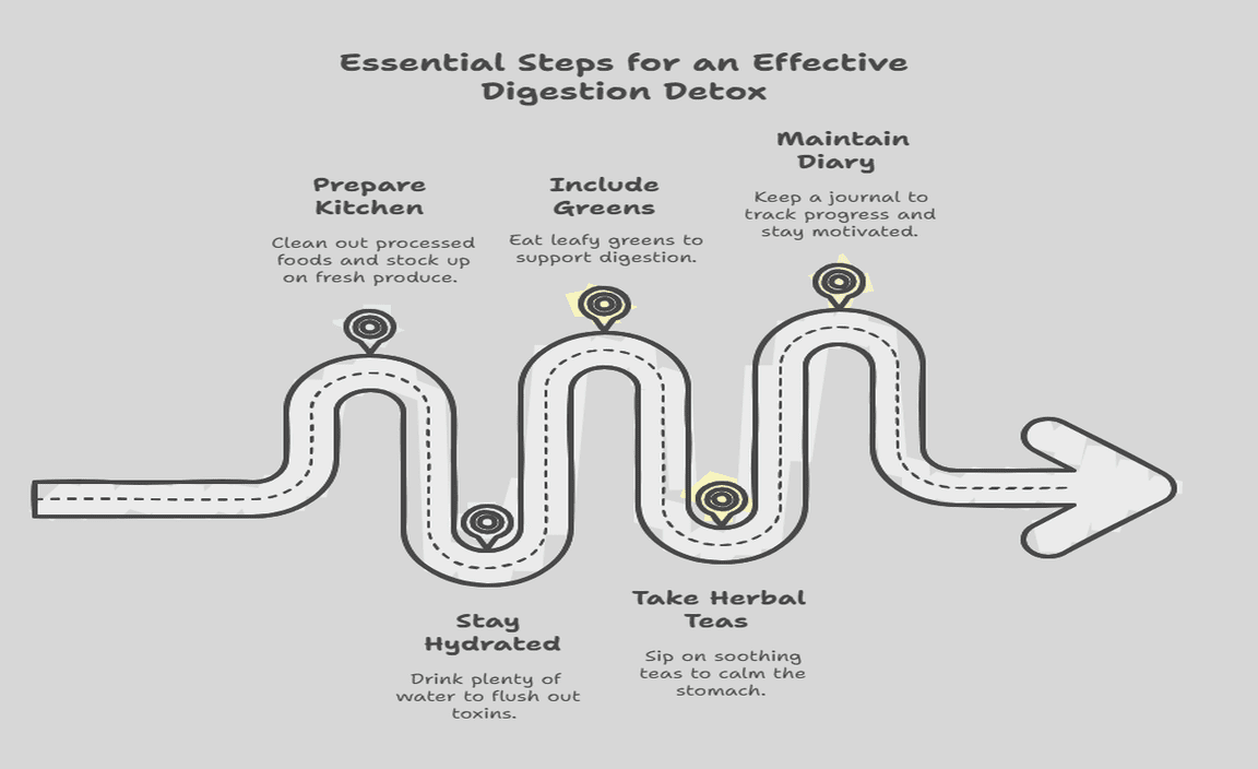 Essential Steps for an Effective Digestion Detox