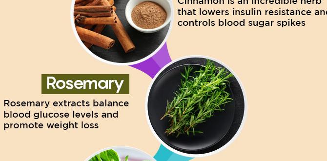 Foods for controlling blood sugar naturally Foods for controlling blood sugar naturally