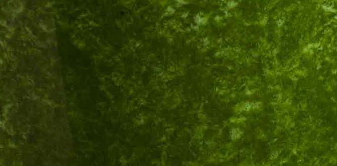 Foods for detoxifying your body Foods for detoxifying your body