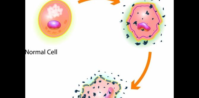 Foods for fighting free radicals Foods for fighting free radicals