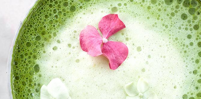 Foods for improving mental clarity Foods for improving mental clarity