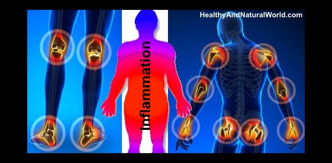 Foods for reducing inflammation in the body