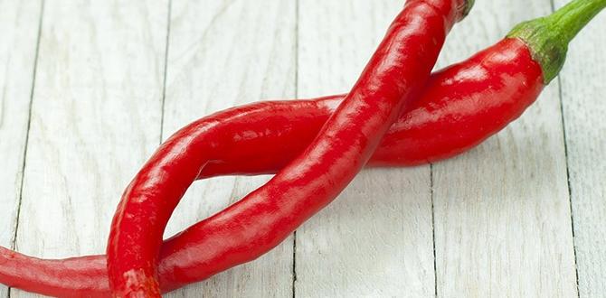 Foods that increase stamina for athletes