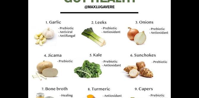 Foods to improve gut bacteria Foods to improve gut bacteria
