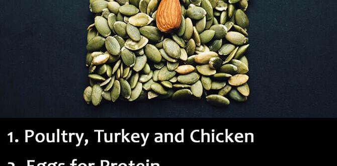 Foods to increase serotonin levels naturally Foods to increase serotonin levels naturally