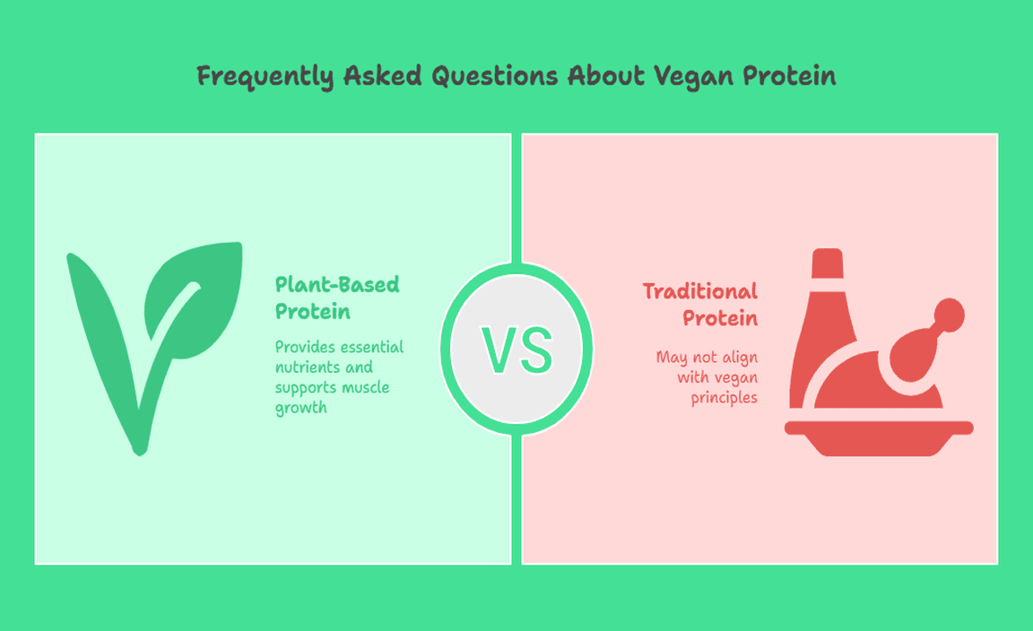Frequently Asked Questions About Vegan Protein