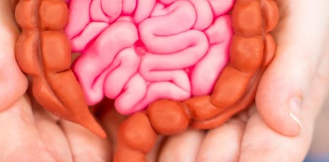 Gut health foods to avoid Gut health foods to avoid