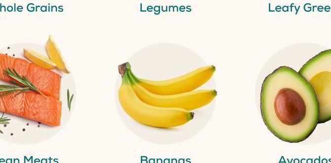 Gut health meals Gut health meals